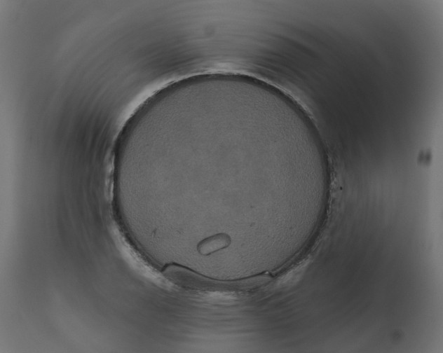 X0000111521126200907281332