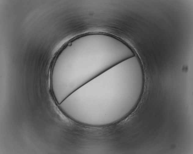 X0000111521127200907281332