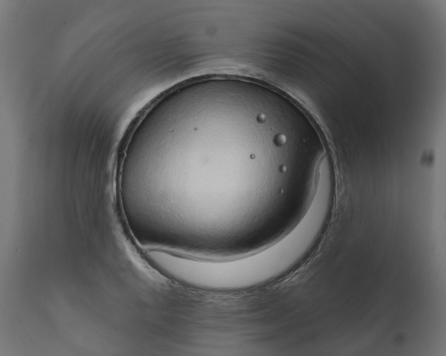 X0000111521128200907281332