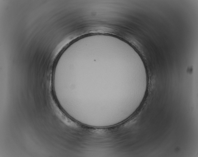 X0000111521130200907281332