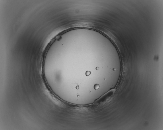 X0000111521131200907281332