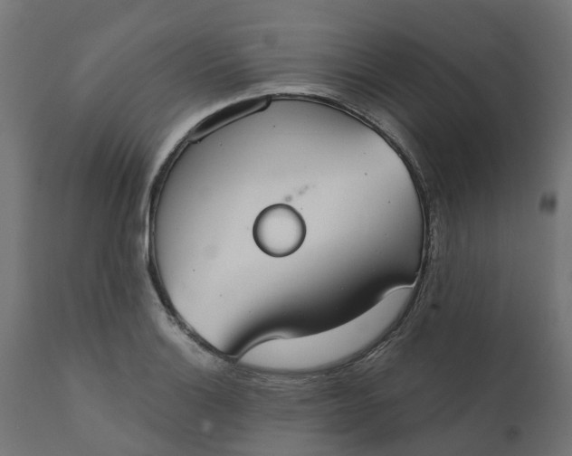 X0000111521132200907281332
