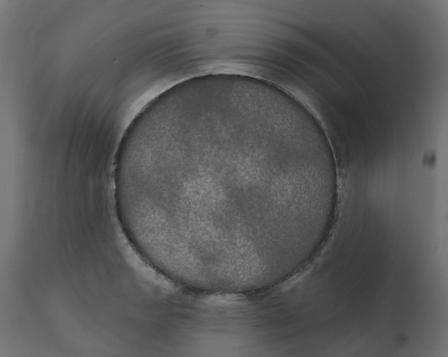 X0000111521133200907281332