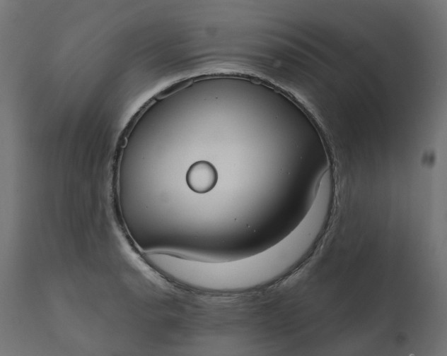X0000111521134200907281332
