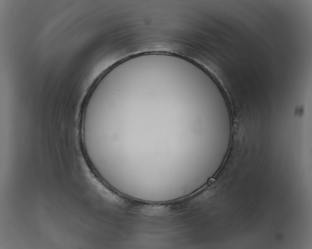 X0000111521135200907281332