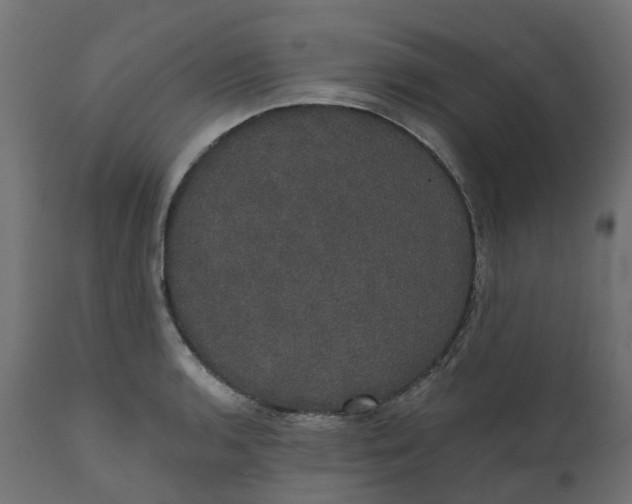 X0000111521136200907281332