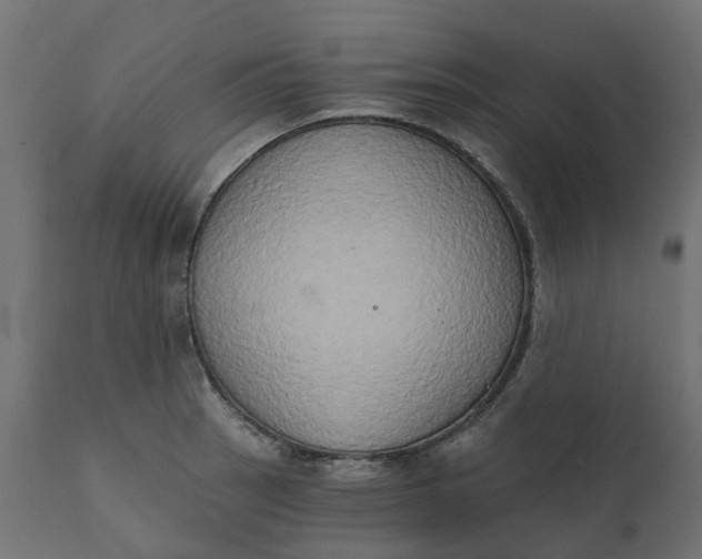 X0000111521137200907281332