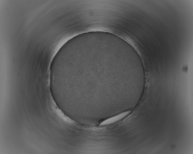 X0000111521140200907281332