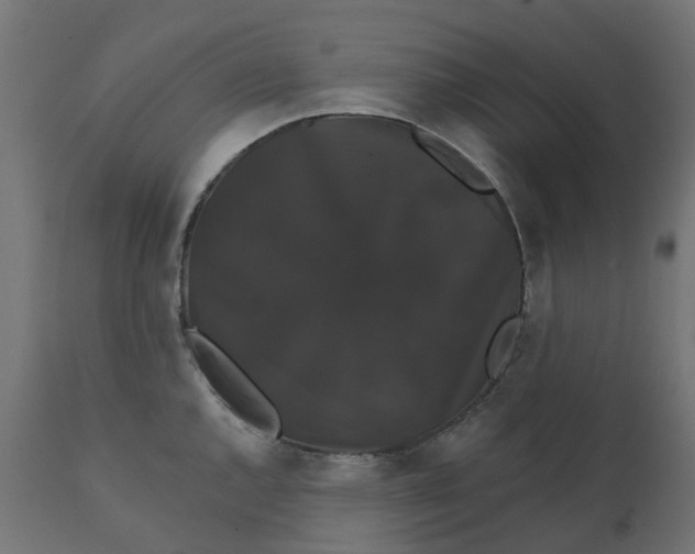 X0000111521144200907281332