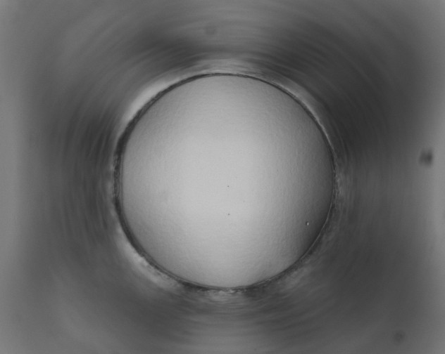 X0000111521147200907281332
