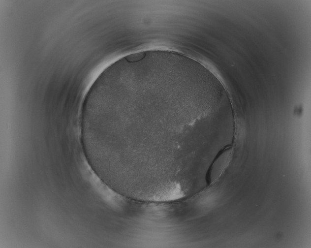 X0000111521148200907281332