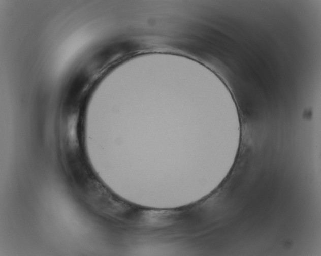 X0000111521150200907281332