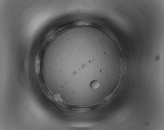 X0000111521151200907281332