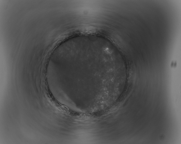 X0000111521153200907281332
