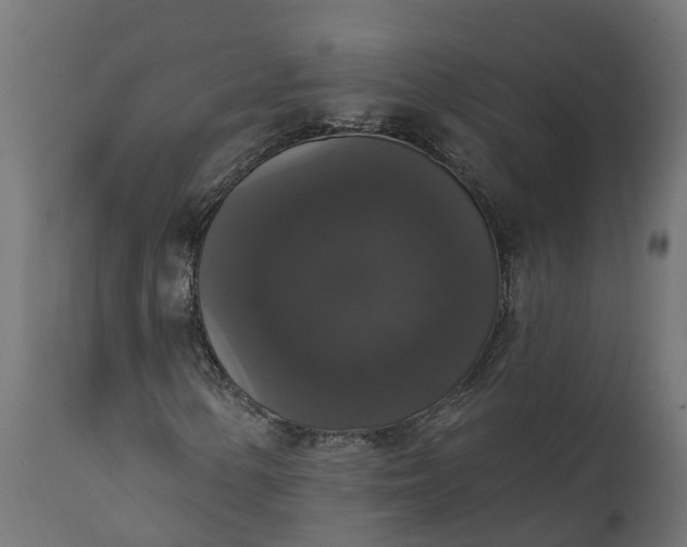 X0000111521154200907281332