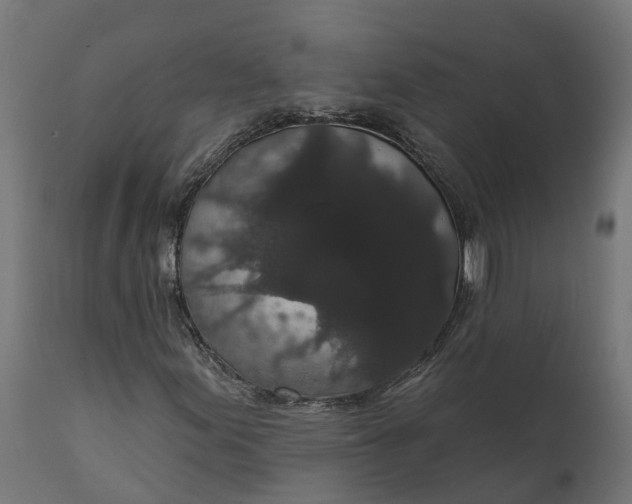 X0000111521155200907281332