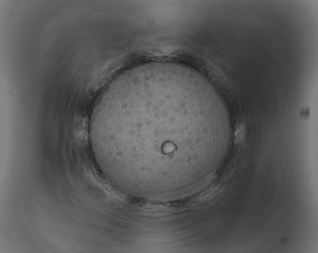 X0000111521156200907281331