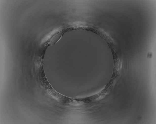 X0000111521157200907281331