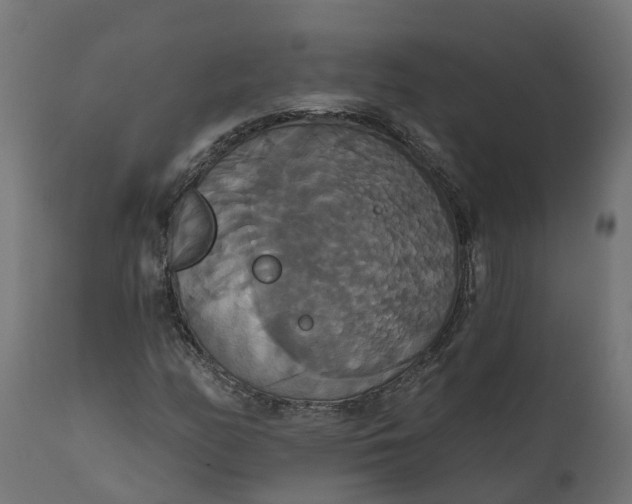 X0000111521158200907281331