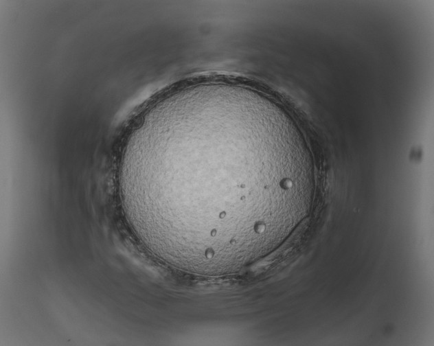 X0000111521159200907281331