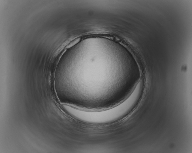 X0000111521161200907281331