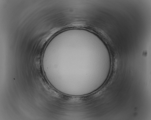 X0000111521162200907281331