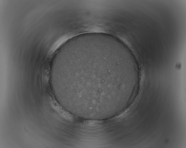 X0000111521163200907281331