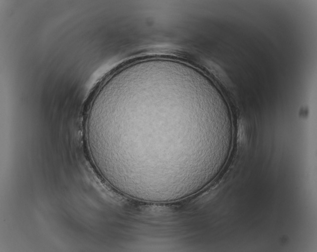 X0000111521164200907281331