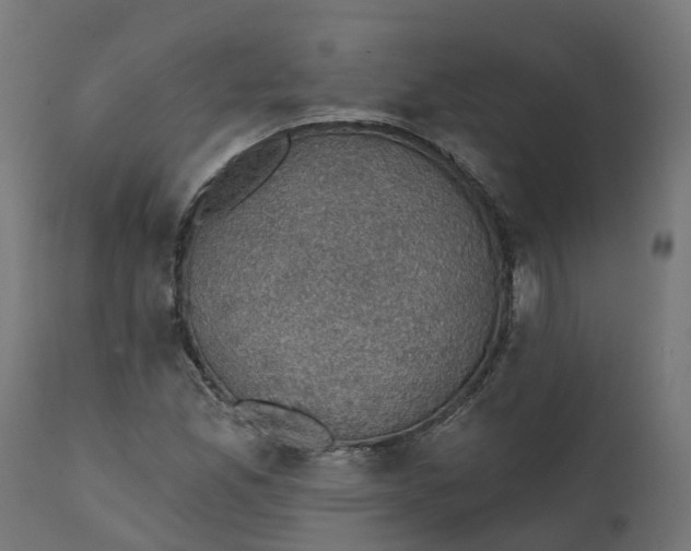 X0000111521165200907281331