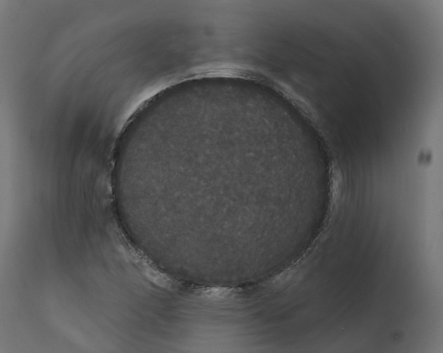 X0000111521166200907281331