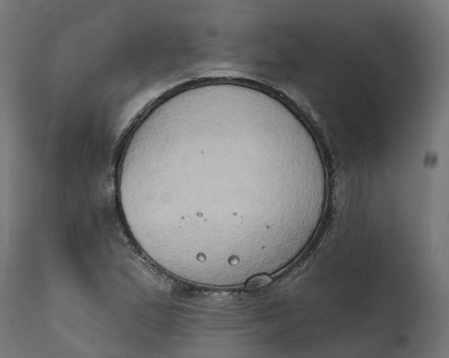 X0000111521167200907281331