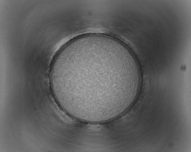 X0000111521168200907281331