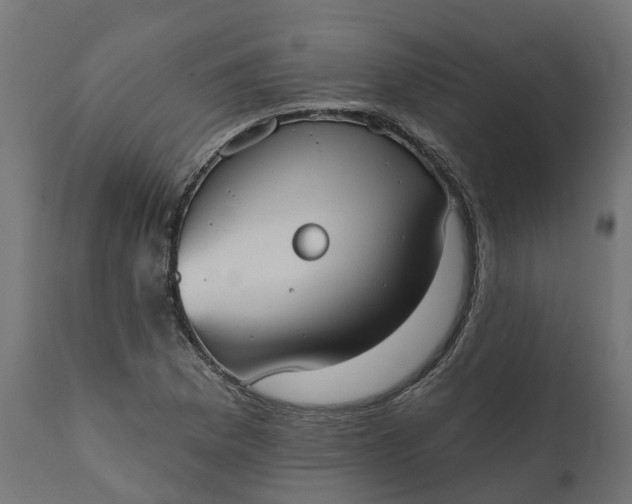 X0000111521169200907281331