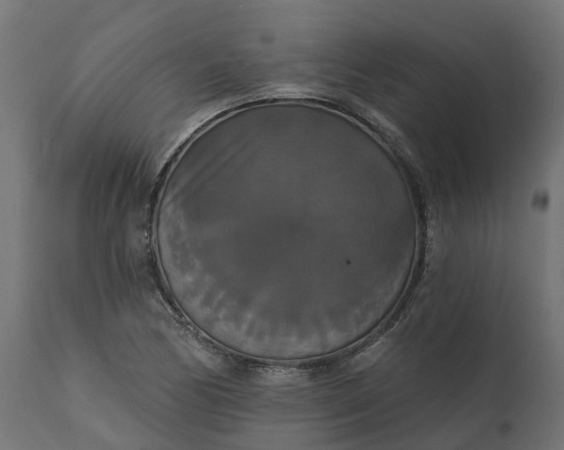 X0000111521170200907281331