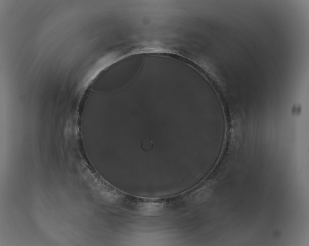 X0000111521173200907281331