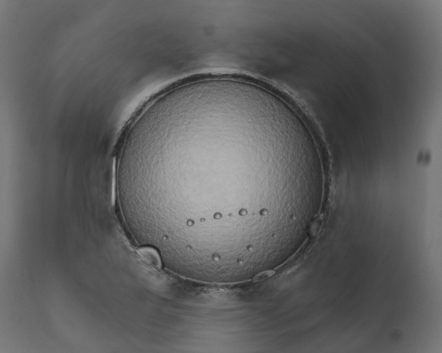 X0000111521175200907281331