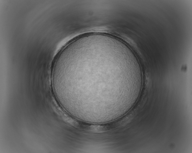 X0000111521176200907281331