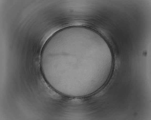 X0000111521178200907281331