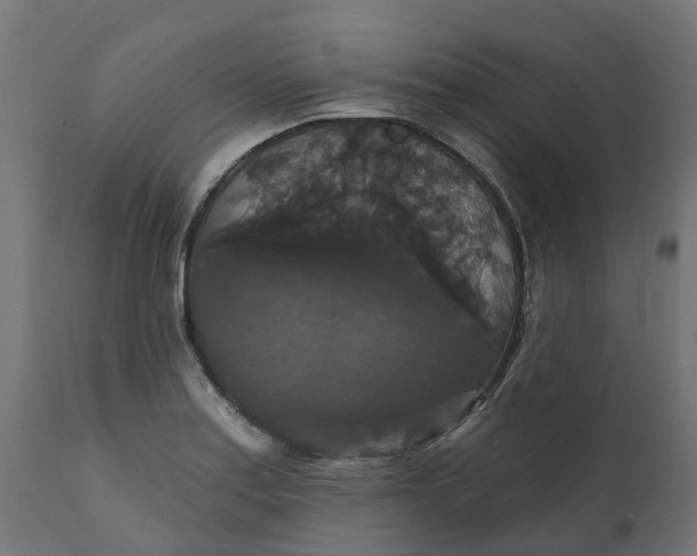 X0000111521179200907281331