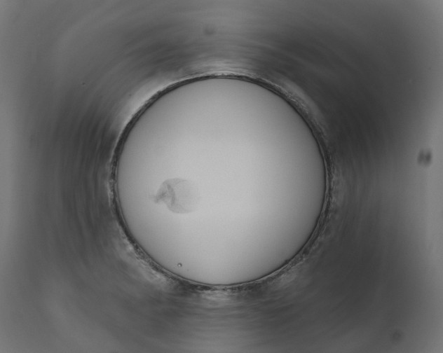 X0000111521182200907281331