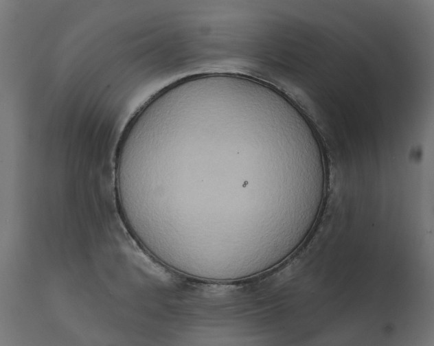 X0000111521184200907281331