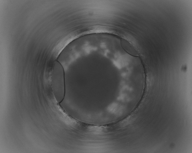 X0000111521185200907281331