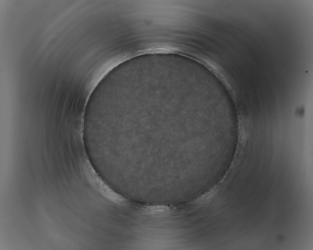 X0000111521186200907281331