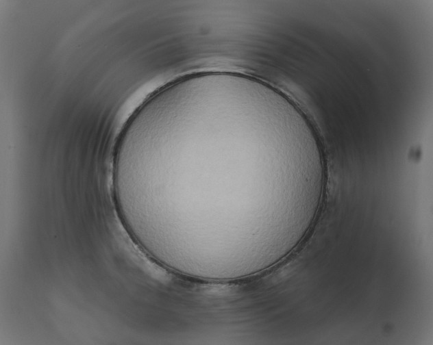 X0000111521188200907281331