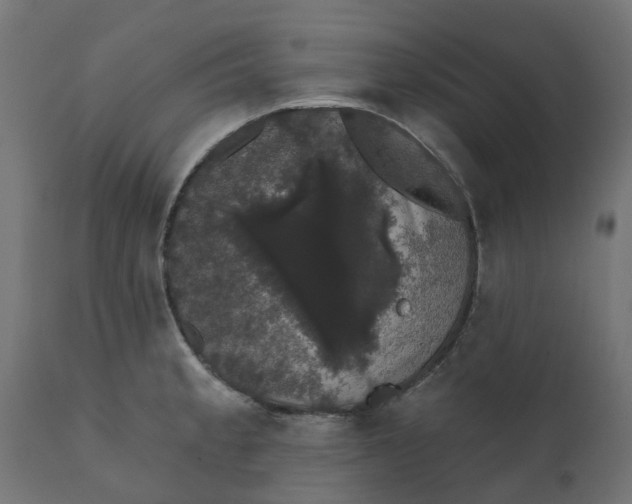 X0000111521189200907281331