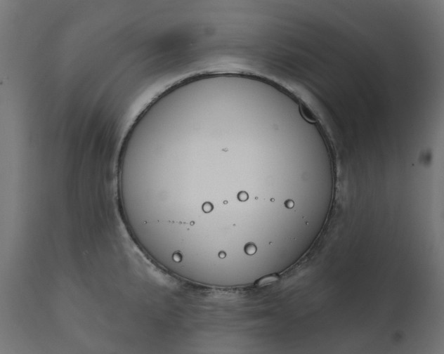 X0000111521191200907281331