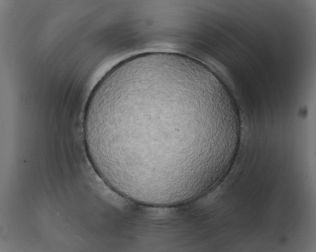 X0000111521192200907281331