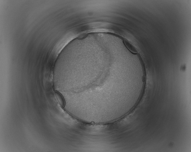 X0000111521193200907281331