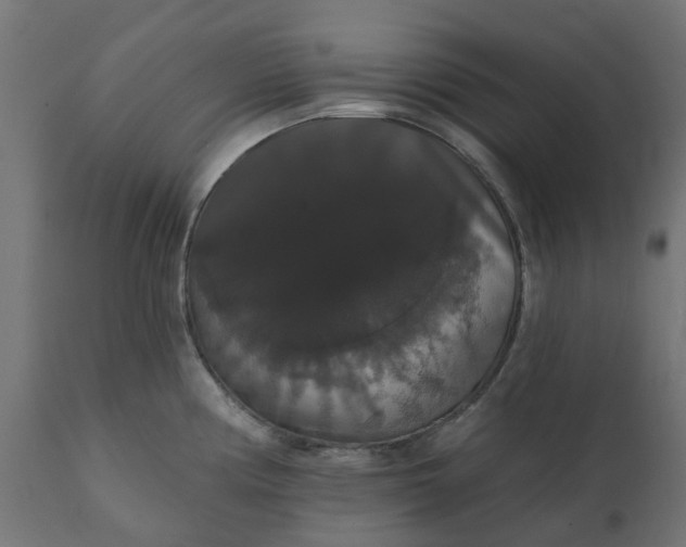 X0000111521194200907281331