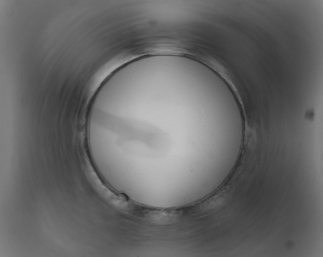 X0000111521195200907281331